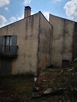 Façade contaminé par les algues salpêtre lichen