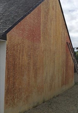 Façade contaminé par les algues salpêtre lichen